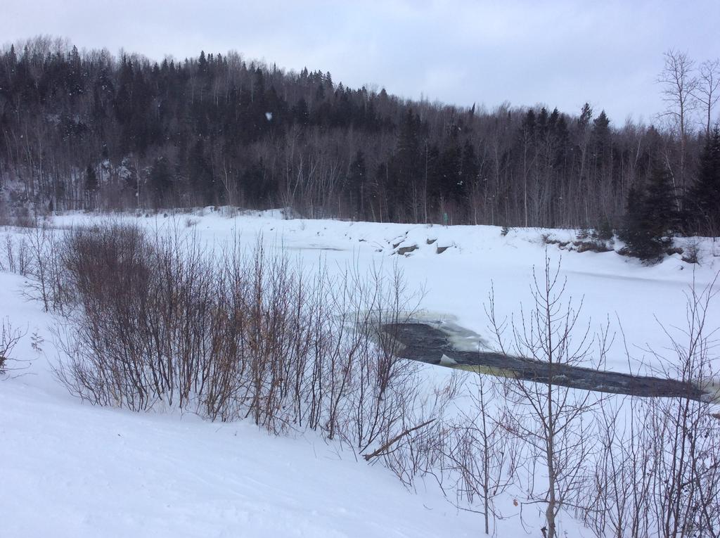 Camping Le 4 Chemins LʼAnse-Saint-Jean Extérieur photo